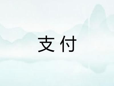 支付