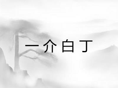 一介白丁 一介白丁