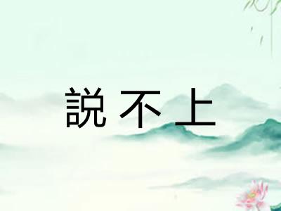 説不上 説不上