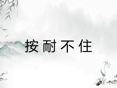 按耐不住 按耐不住