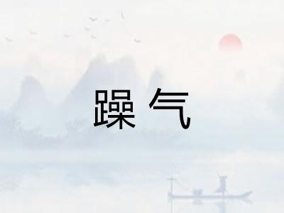 躁气