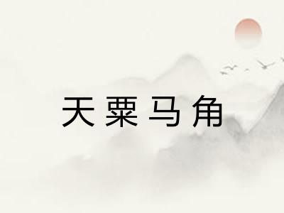 天粟马角 天粟马角