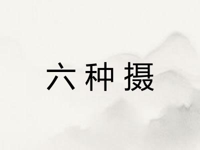 六种摄