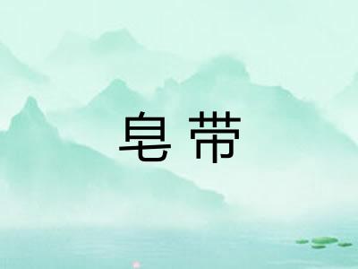 皂带 皂带
