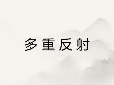 多重反射 多重反射