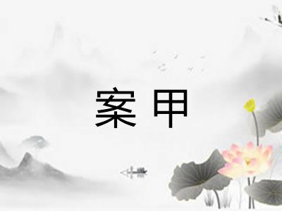 案甲 案甲