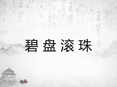 碧盘滚珠 碧盘滚珠