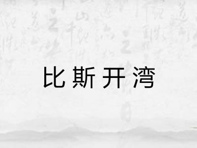 比斯开湾 比斯开湾