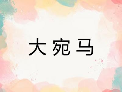 大宛马 大宛马