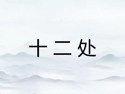 十二处