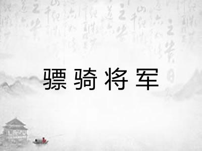 骠骑将军 骠骑将军