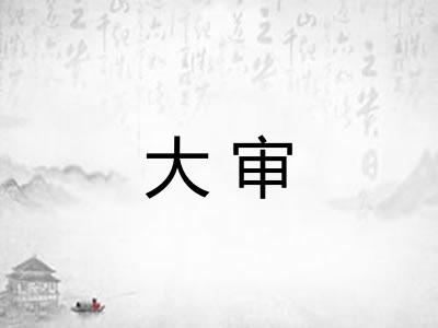 大审 大审