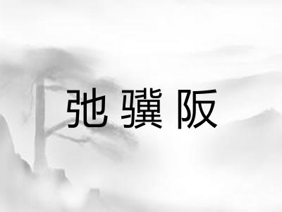 弛骥阪