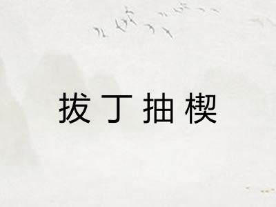 拔丁抽楔 拔丁抽楔