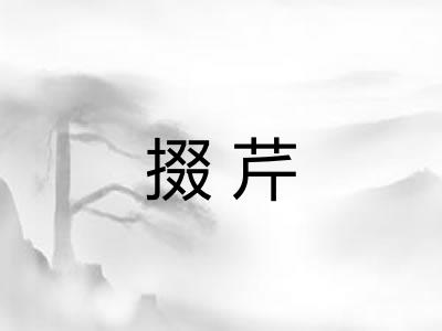 掇芹