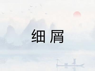 细屑