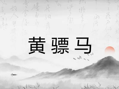 黄骠马 黄骠马