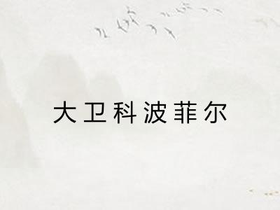 大卫科波菲尔 大卫科波菲尔