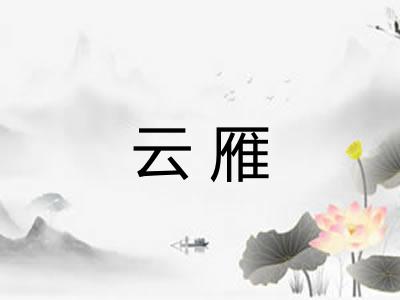 云雁 云雁
