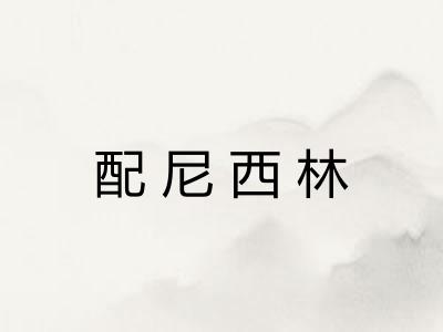 配尼西林 配尼西林