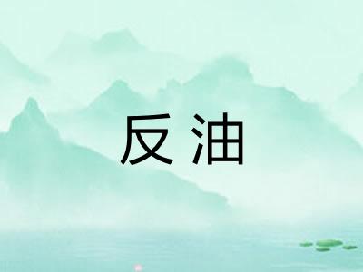 反油 反油