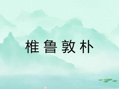 椎鲁敦朴 椎鲁敦朴