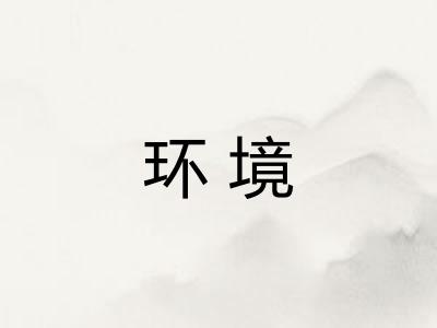 环境 环境
