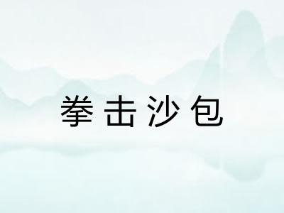 拳击沙包 拳击沙包