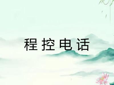 程控电话 程控电话