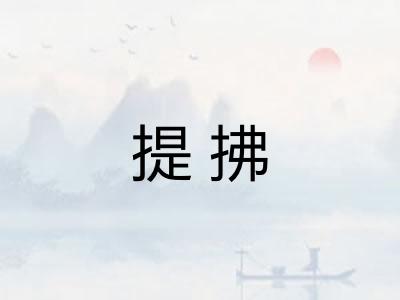 提拂 提拂