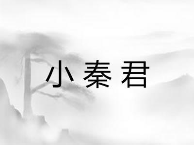 小秦君 小秦君