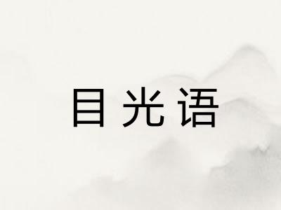 目光语