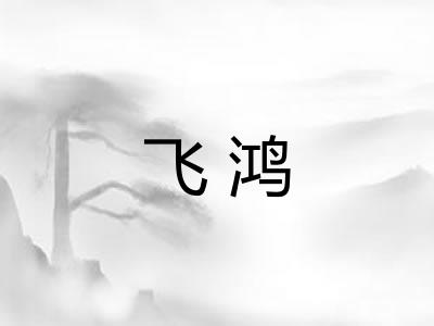 飞鸿