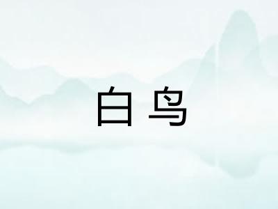 白鸟 白鸟