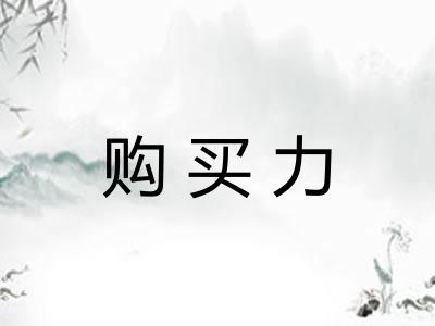购买力