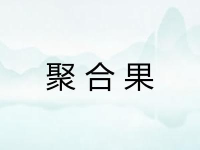 聚合果 聚合果