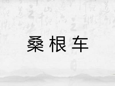 桑根车 桑根车