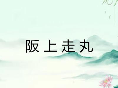 阪上走丸 阪上走丸