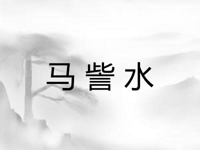 马訾水 马訾水