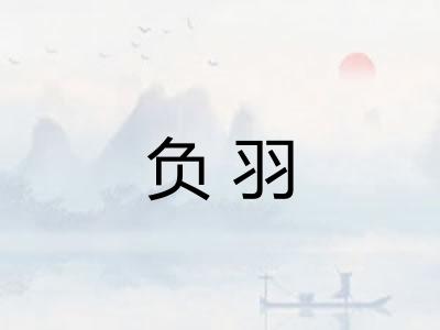 负羽 负羽