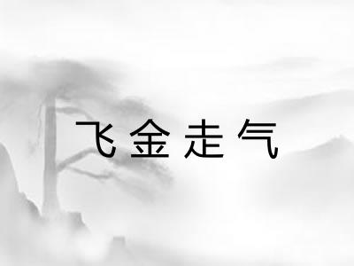 飞金走气