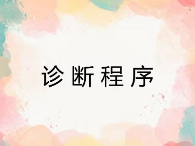 诊断程序