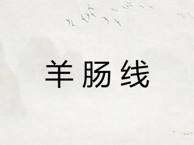 羊肠线 羊肠线