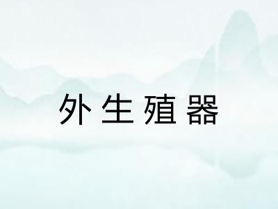 外生殖器 外生殖器