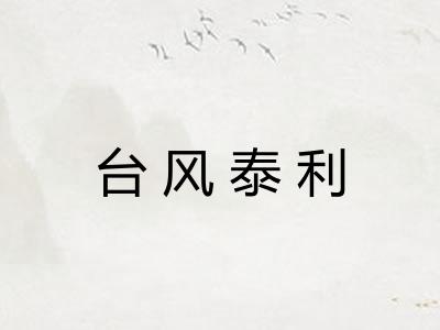 台风泰利 台风泰利