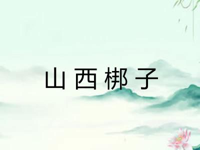 山西梆子 山西梆子