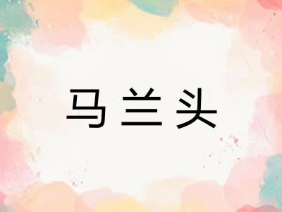 马兰头 马兰头