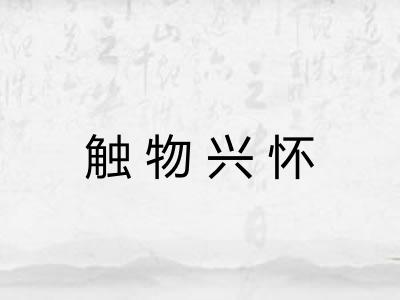 触物兴怀 触物兴怀