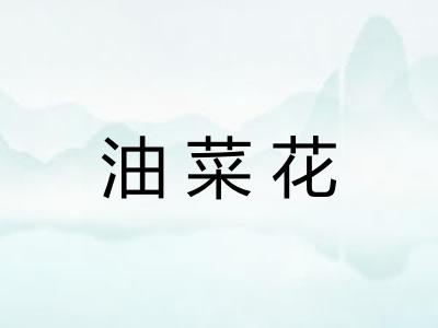 油菜花 油菜花