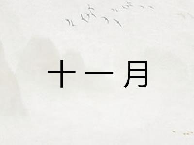 十一月 十一月
